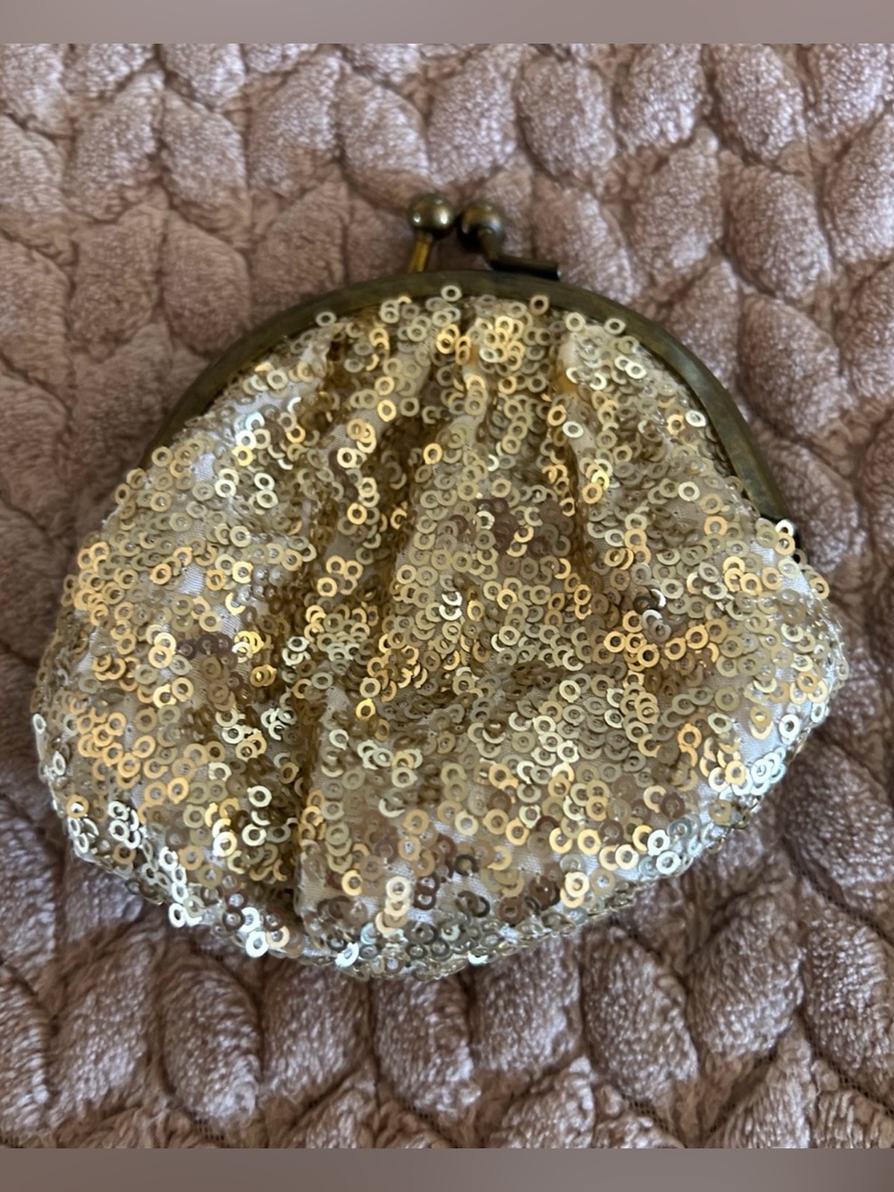 AERIE Champagne Sequin Coin Change Purse Bag Vintage style Kiss-lock clasp